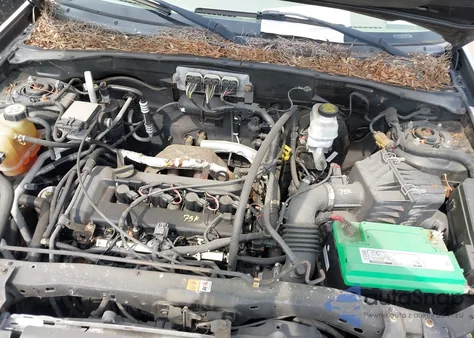 2007 Ford Escape Xlt из США, поврежденный, VIN 1FMYU03Z67KB98188